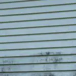 Mold and mildew growth on vinyl siding, one of the signs it's time to consider how often you should repaint your house exterior.