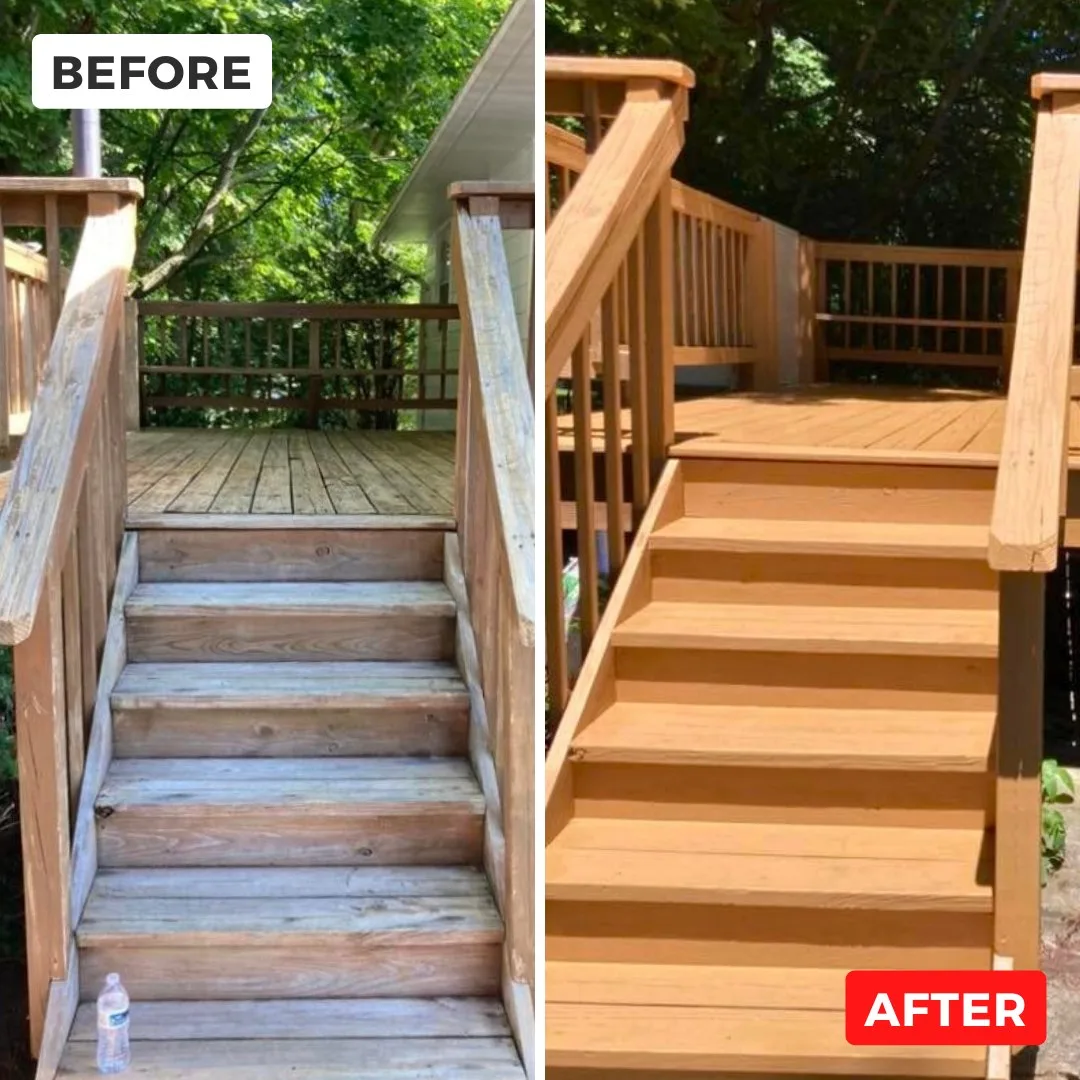 Top Quality Paint Services