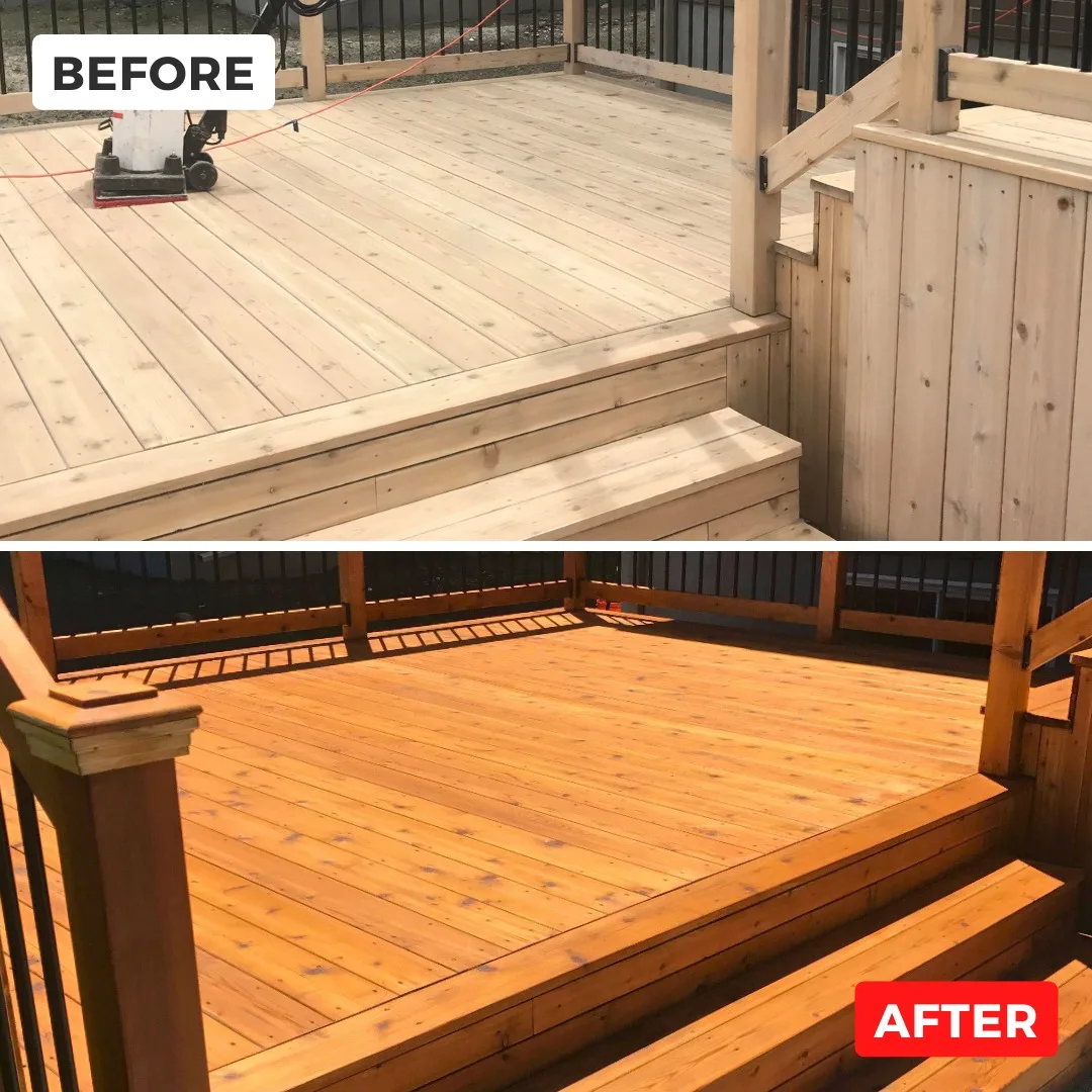 Premium Painting Service