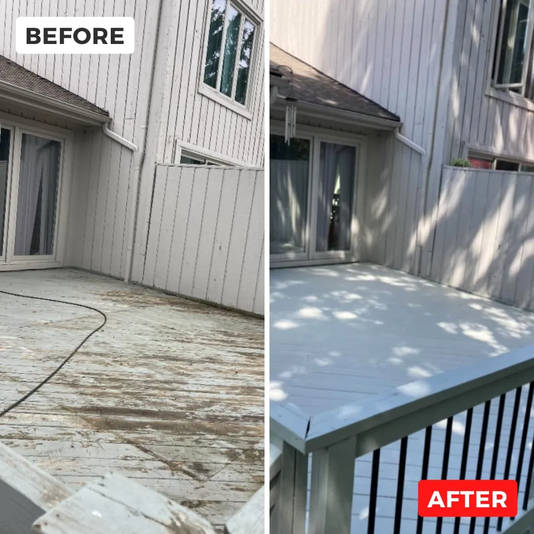 Top Quality Painting Service