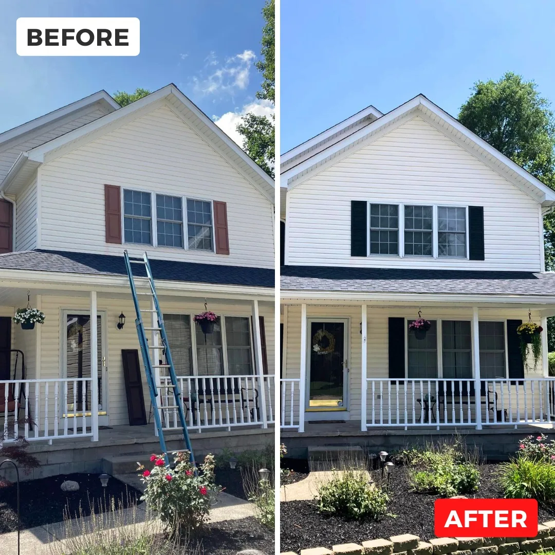 Premium Paint Service