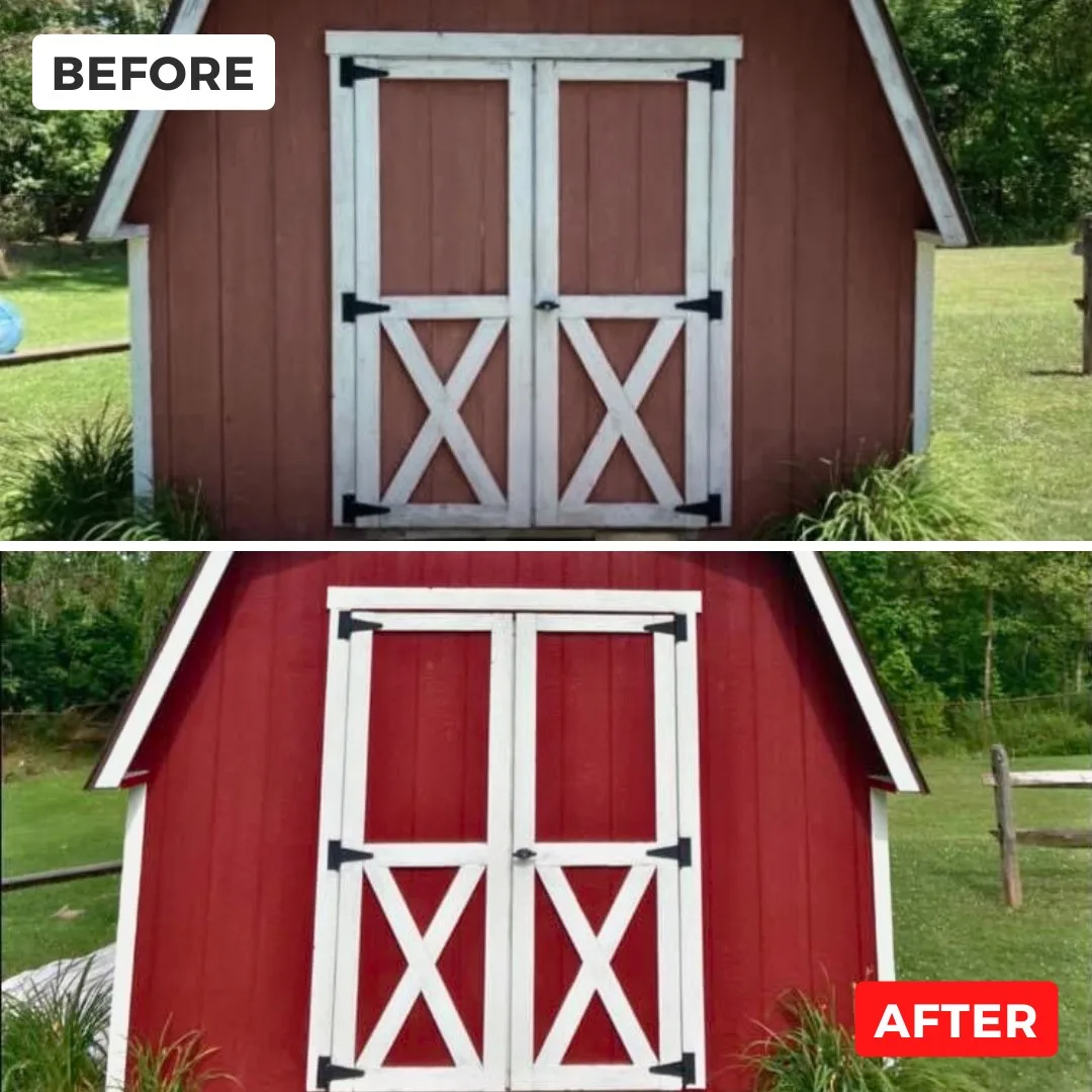 Premium Paint Services