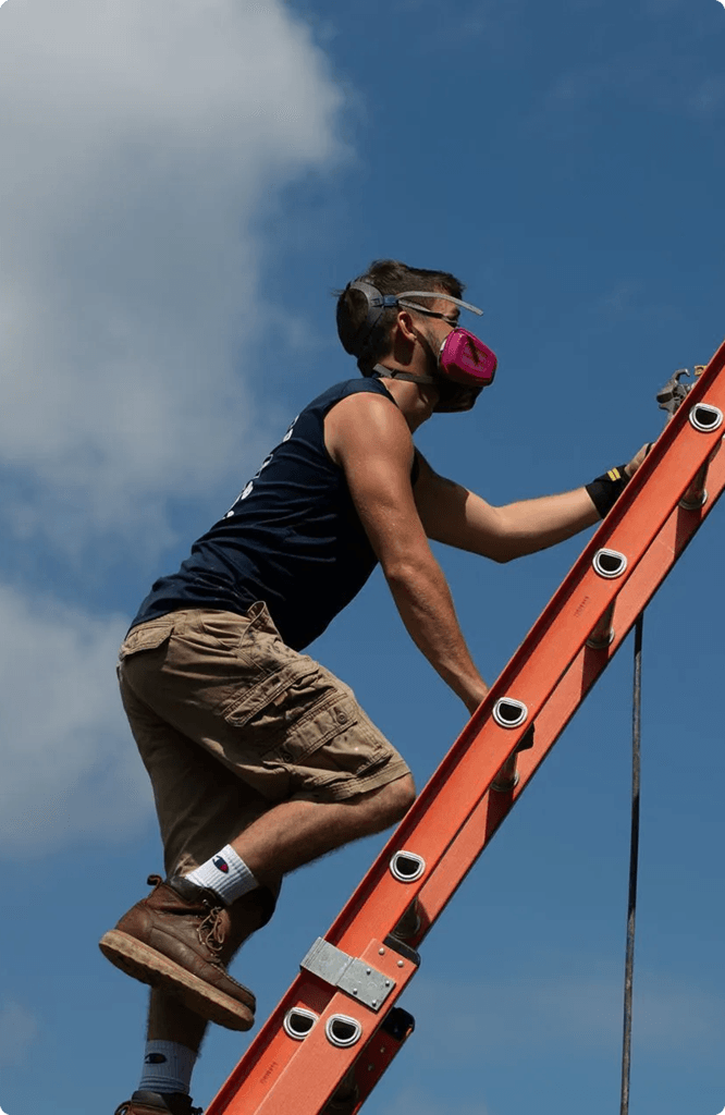 Walls PAINTING Services