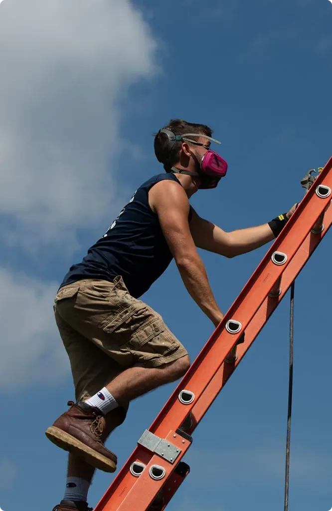 Walls PAINTING Services